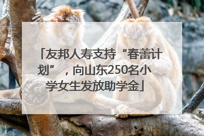 友邦人寿支持“春蕾计划”，向山东250名小学女生发放助学金